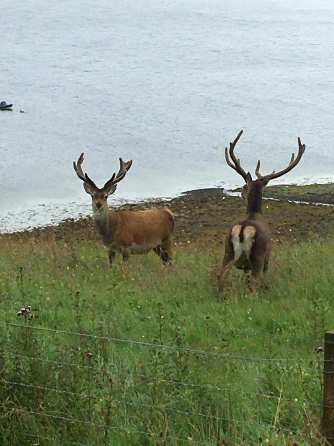The Lambing Shed Villa Dunvegan  Exteriör bild
